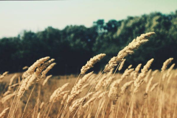 打电话打爆免费